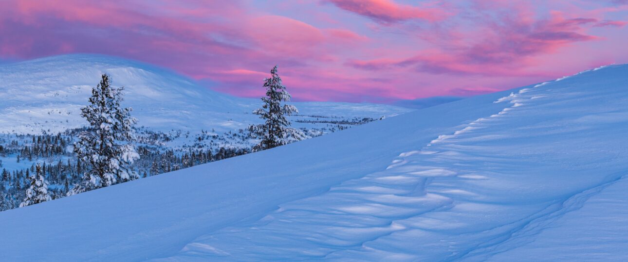 A breathtaking view of a forest covered with snow during sunset in Norway