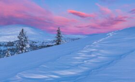 A breathtaking view of a forest covered with snow during sunset in Norway