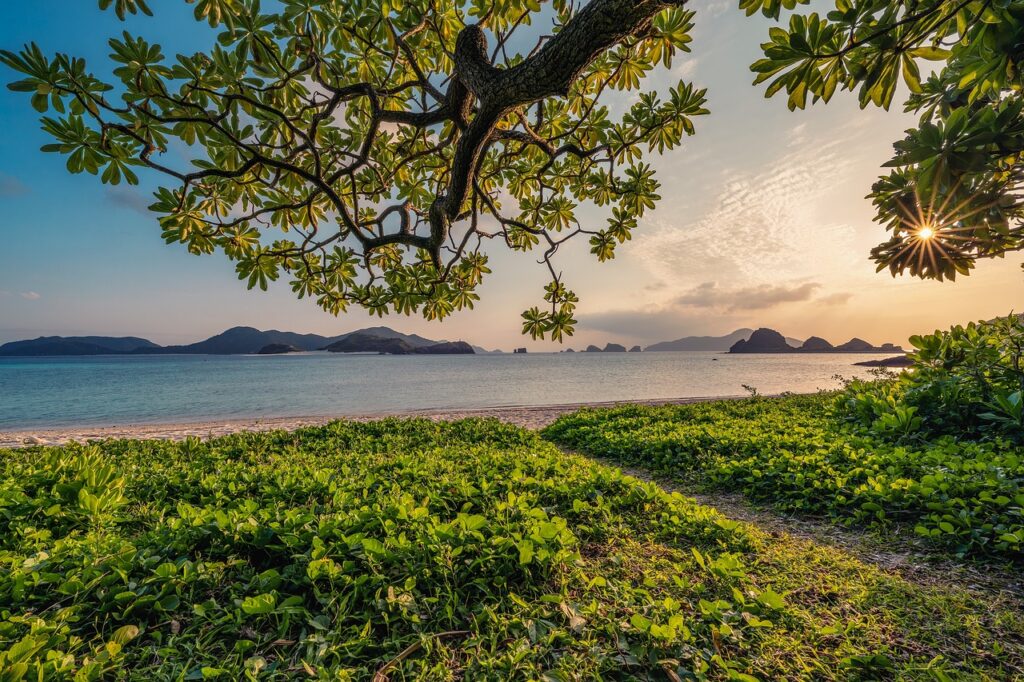 Beach, Sunset, Panama 