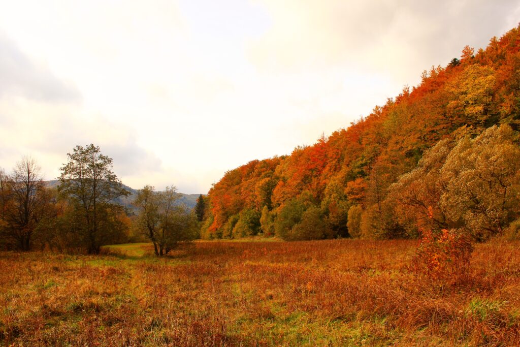 Carpathians. Albania