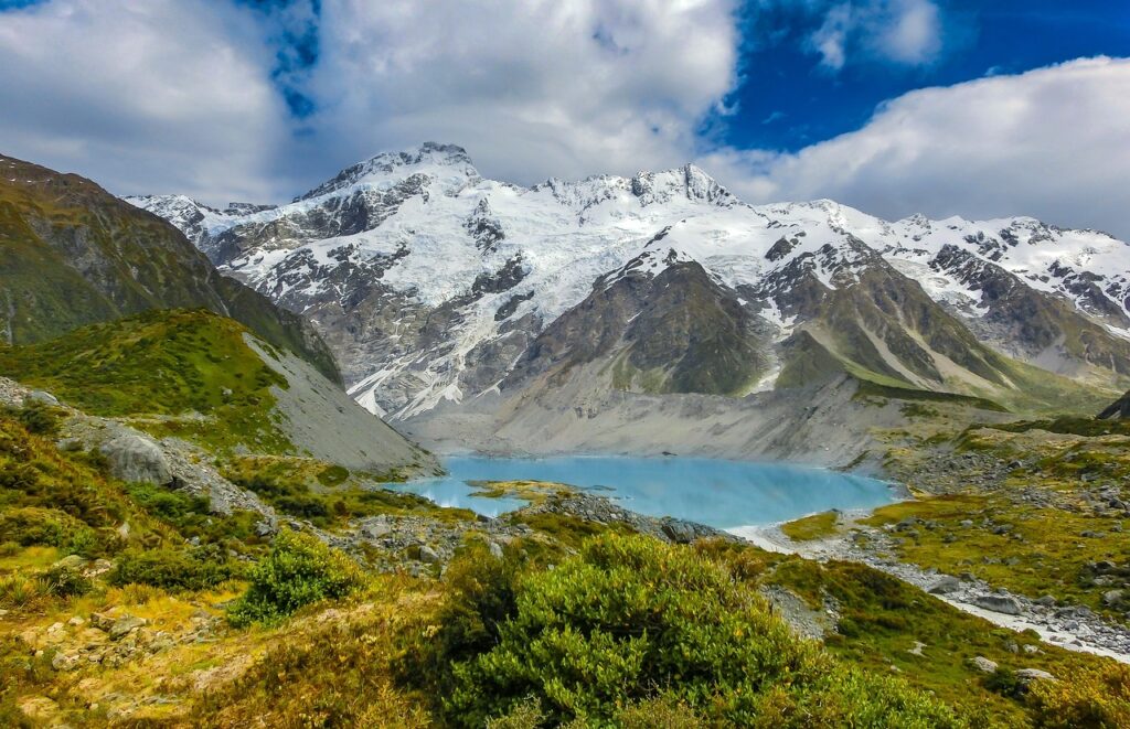 New Zealand nature 