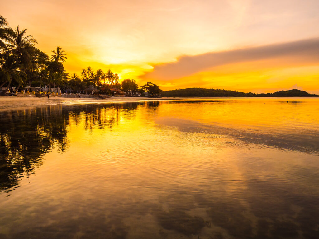 Beautiful tropical beach sea and ocean with coconut palm tree at