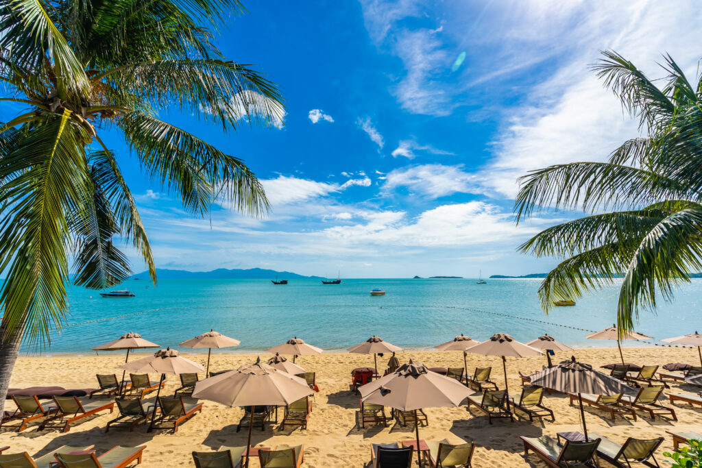 Beautiful tropical beach sea and ocean with coconut palm tree 