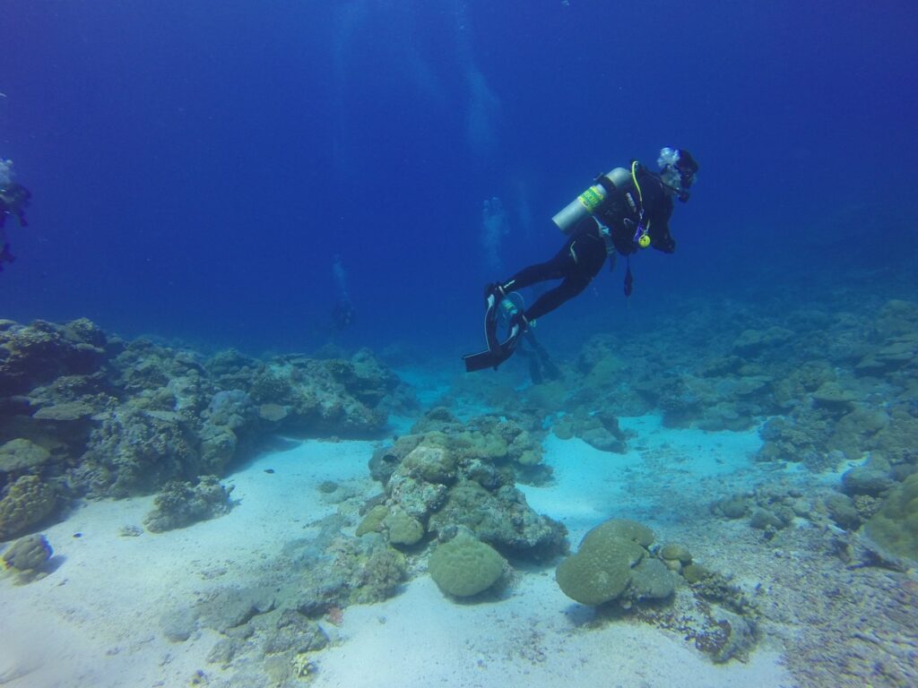 Scuba Diving. FIJI