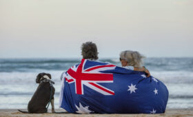 Beautiful shot of a couple on the beach with blue English Stafford dog