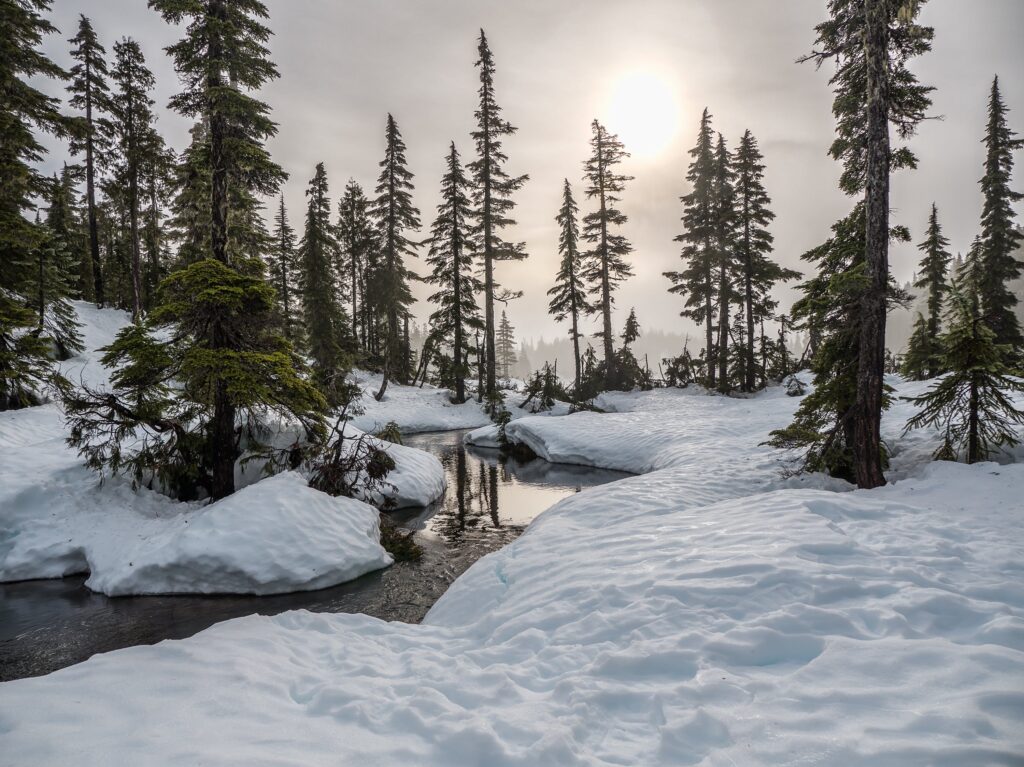 Landscape with Snow in Canada 