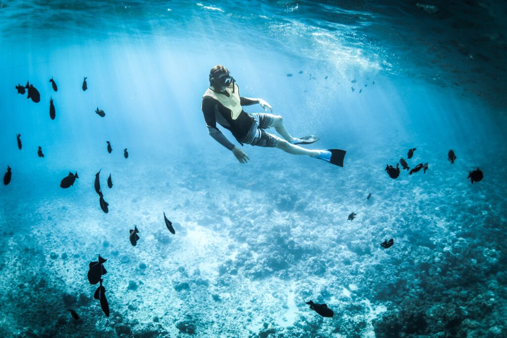 snorkeling Belize 